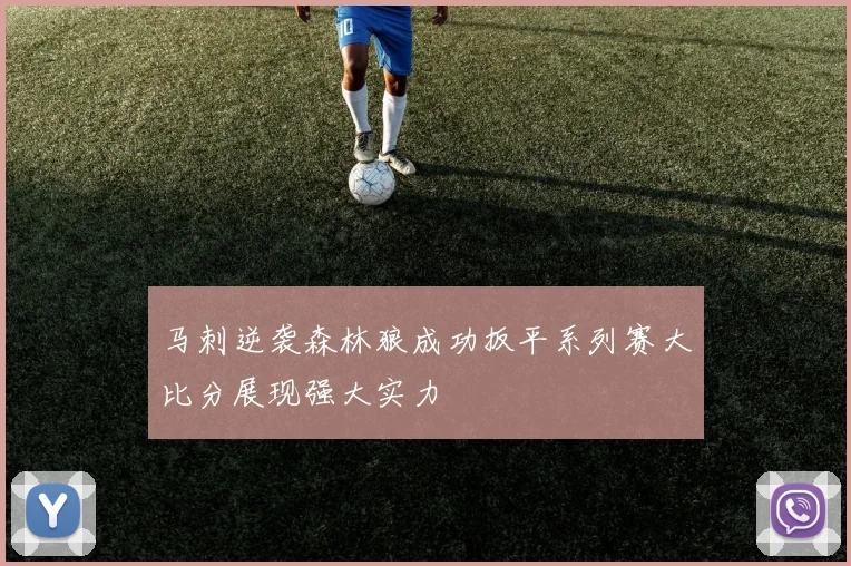 马刺逆袭森林狼成功扳平系列赛大比分展现强大实力